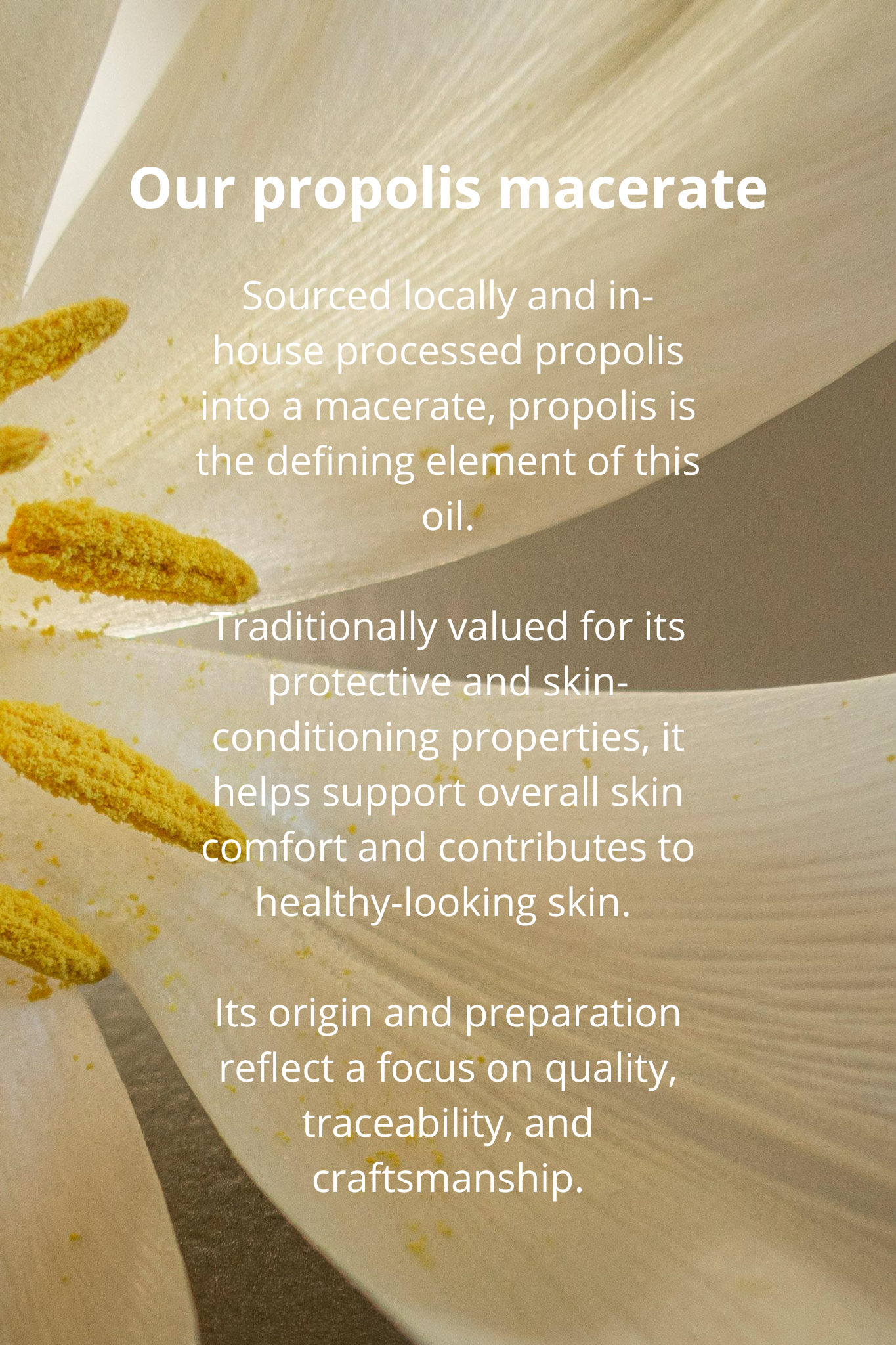 Propolis body oil